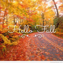 fall wallpaper APK