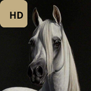 خلفيات خيول فخمة APK