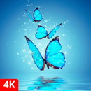 خلفيات فراشة APK