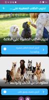 Training small dogs to obey screenshot 1
