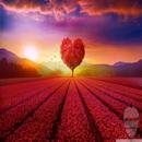 صور  خلفيات-various wallpaper APK