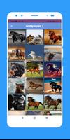 Horse wallpaper Ekran Görüntüsü 2
