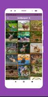 Deer wallpapers Ekran Görüntüsü 3