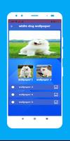 white dog wallpaper poster