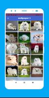 white dog wallpaper screenshot 1