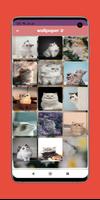 wallpaper cat HD screenshot 1