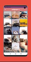 wallpaper cat HD screenshot 2