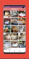 wallpaper cat HD screenshot 3