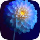 Flowers Wallpaper ikon