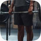 Gym Wallpaper icono