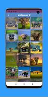 Elephant wallpaper HD screenshot 2