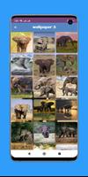 Elephant wallpaper HD screenshot 3