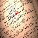 سورة يس APK