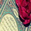 سورة البقرة APK