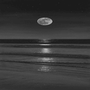 black background APK