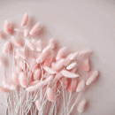pink image _  pink wallpaper APK