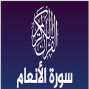 سورة الانعام APK