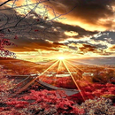sun image _ sun wallpaper APK