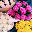 flower _ flower picture APK