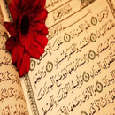 سورة الرحمن APK