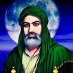 حكم و اقوال الامام علي بالصور