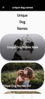 Learn to name a dog screenshot 2