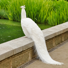Albino Peacock: Peacock Animal ikona