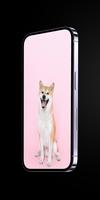Cute Dog Wallpaper : Wallpaper اسکرین شاٹ 2