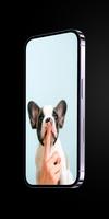 Cute Dog Wallpaper : Wallpaper اسکرین شاٹ 3