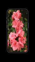 Semillas de flores silvestres Poster