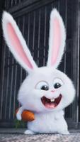Cute Bunny Wallpapers poster
