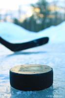 National Hockey Wallpapers syot layar 3