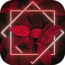 Pictures For Edit APK