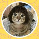 Funny Kawaii pfp APK