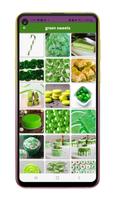 green screen backgrounds اسکرین شاٹ 2