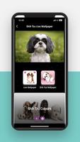 Shih Tzu 포스터