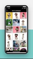 Shih Tzu 스크린샷 2