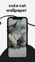Cute cats wallpaper HD Affiche
