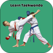 Learn Taekwondo 圖標