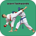 Learn Taekwondo
