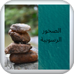 الصخور الرسوبية