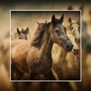 Painting art APK