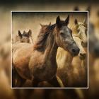 Painting art иконка