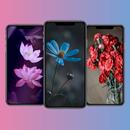 flower images HD APK