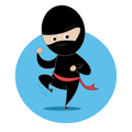 last ninja
