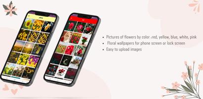 Poster cute flowers wallpapers