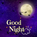 Good Night Images HD & 4k