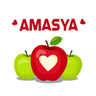 Amasya Rehberi icône