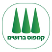 קמפוס ברושים