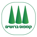 קמפוס ברושים APK